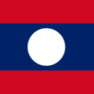 flag vn