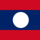 flag vn