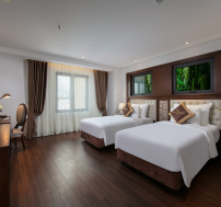 Premier DLX twin - city view rem