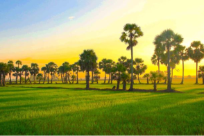 ANGKOR, RIZIÈRES ET NATURE EXCEPTIONNELLE