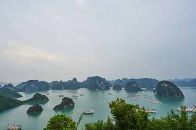 AVENTURE INCROYABLE AU VIETNAM : JUNGLE, GROTTES ET HISTOIRE