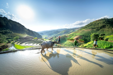 DU TRIUS DU HAUT TONKIN AU DELTA DU MEKONG