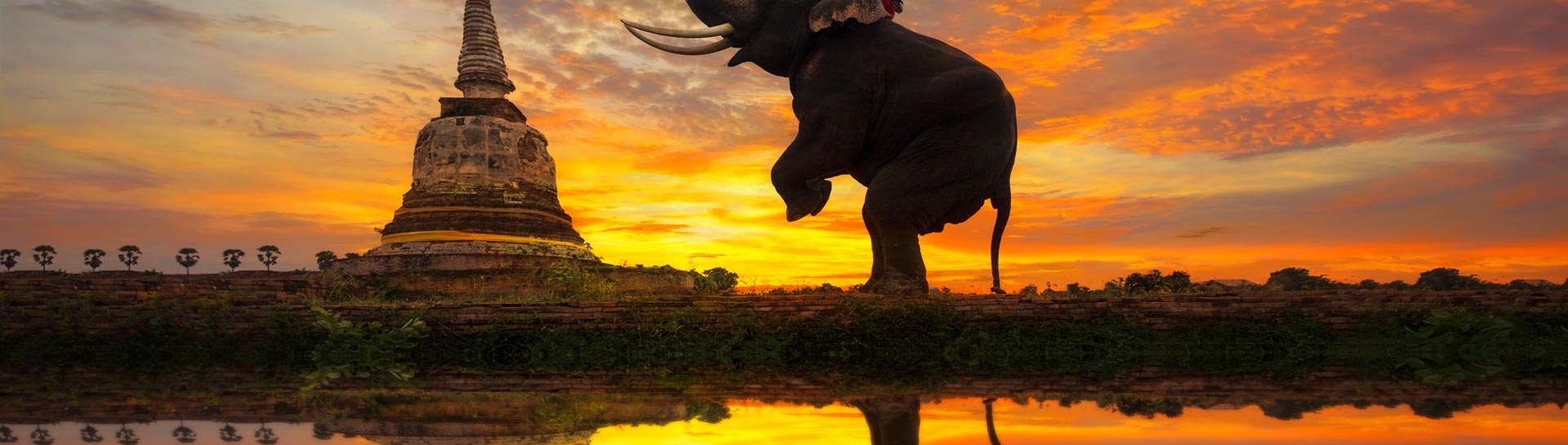 Day trip and Excursion