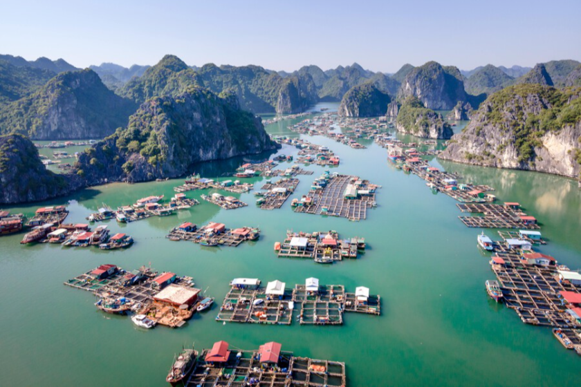 Village pecher a Halong