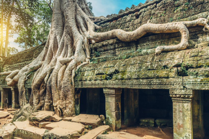Ta Phrom Angkor