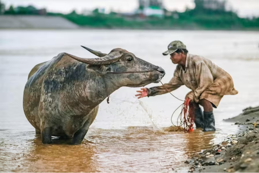 LAOS, PEUPLES DU MÉKONG 