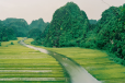 Tam Coc