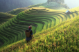 Mu Cang Chai